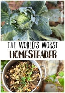 what to do when you're a big fat homesteading failure