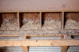 nesting boxes in chicken coop