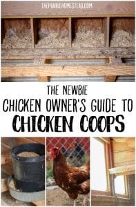 guide to chicken coops
