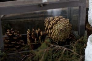 decorating with pine cones