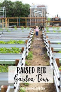 raised bed garden tour
