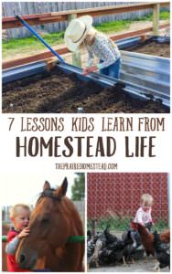 lessons kids learn from homestead life