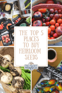 best places to buy heirloom seeds