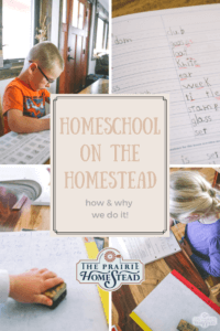 How and why we homeschool on the homestead!