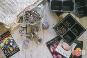 how to disinfect seed trays