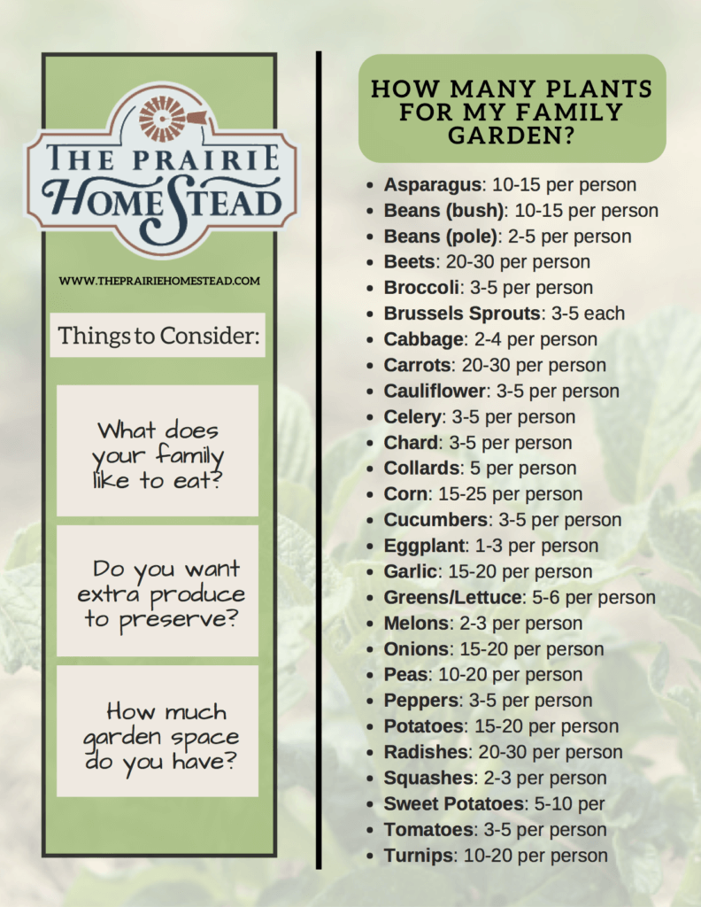 how much to plant in your garden per person to feed your family