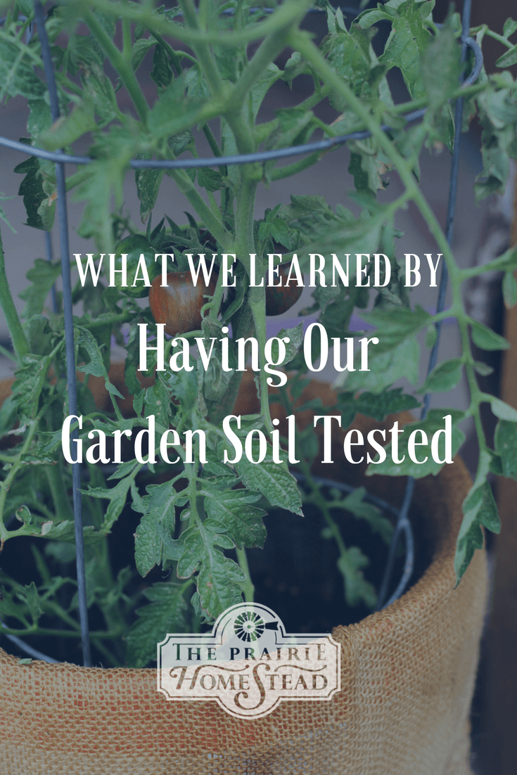 what we learned by testing our garden soil