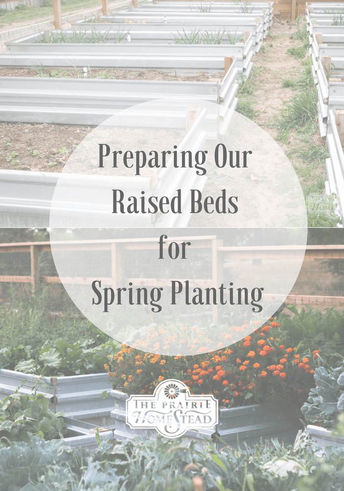 Preparing Our Raised Beds for Spring Planting