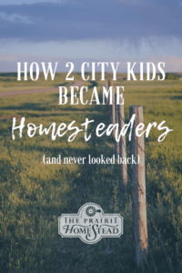 city kids turned homesteader
