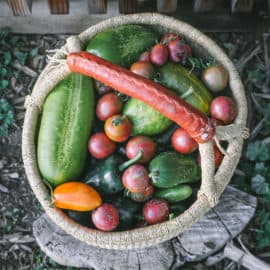 organic garden harvest basket