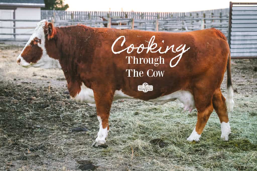cooking through the cow