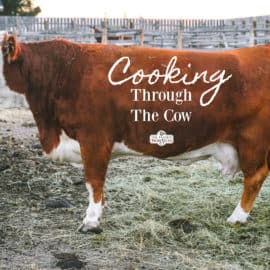 cooking through the cow
