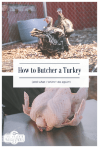 Step-by-step how to butcher a turkey (and two things I won't do again!)