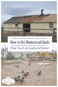 how to set homestead goals that you'll actually achieve