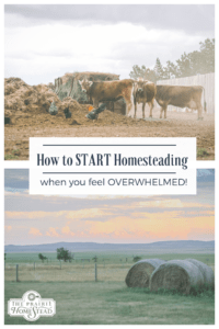 how to start homesteading when you feel overwhelmed