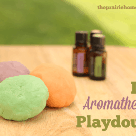 Homemade, Non-toxic Playdough infused With Essential Oils Immunity 