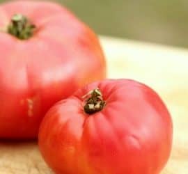 How To Freeze Tomatoes The Prairie Homestead,Best Cheap Vodka For Mixed Drinks