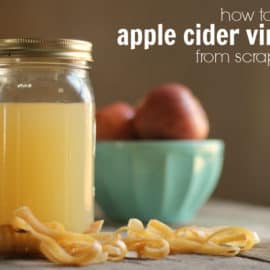 travel apple cider vinegar