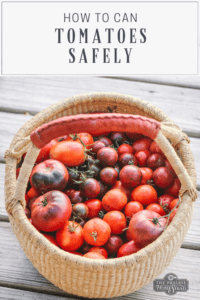 How to Can Tomatoes Safely At Home