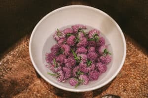 chive blossom vinegar recipe