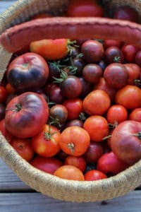 homegrown tomatoes in a basket