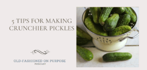 10. 5 Tips for Making Crunchier Pickles