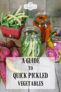 A Guide to Quick Pickled Vegetables