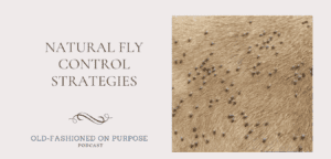 9. Natural Fly Control Strategies