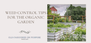 11.  Weed Control Tips for the Organic Garden