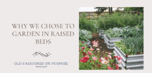 3. Why We Chose to Garden in Raised Beds
