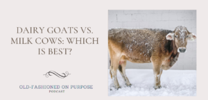 16.  Dairy Goats vs. Milk Cows: Which is Best?