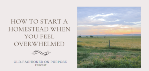19.  How to Start a Homestead When You Feel Overwhelmed