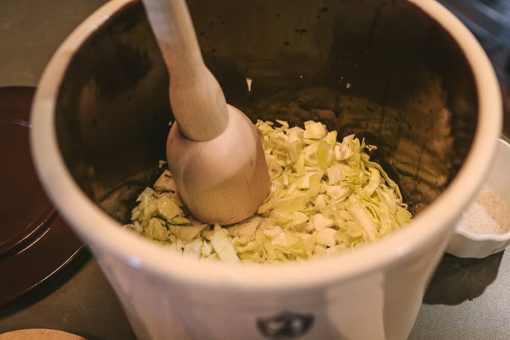 making sauerkraut in ferment crock