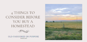 29.  4 Things to Consider Before You Buy a Homestead