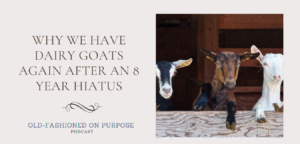 37.  Why We Have Dairy Goats Again After an 8 Year Hiatus