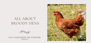 39.  All About Broody Hens