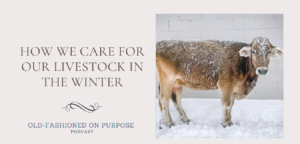 56.  How We Care for Our Livestock in the Winter