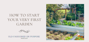 76.  How to Start Your Very First Garden