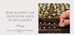 73.  Why & How I Use Heirloom Seeds in my Garden