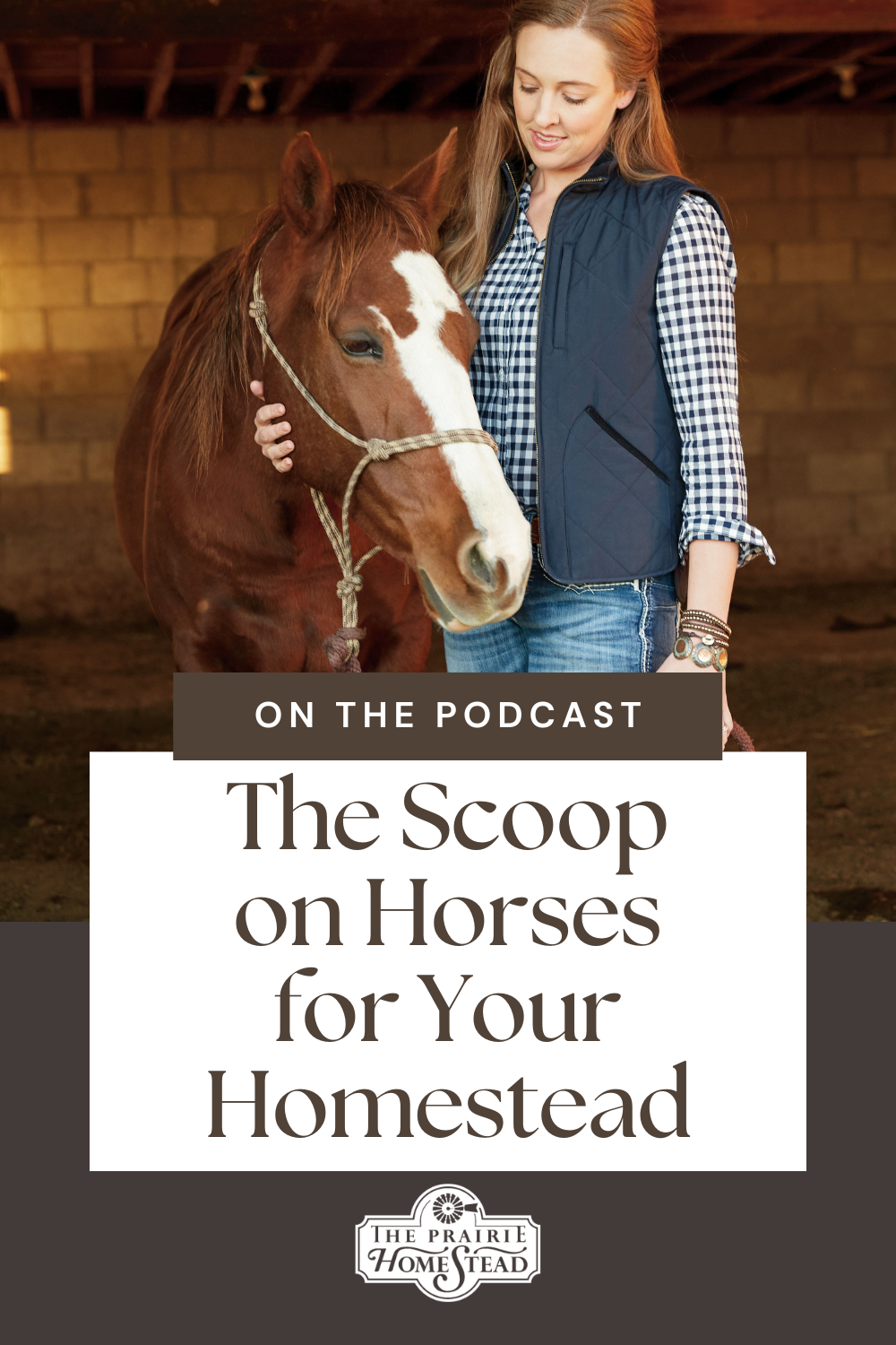The Scoop on Horses for Your Homestead