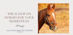 87. The Scoop on Horses for Your Homestead