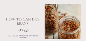 100.  How To Can Dry Beans
