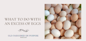 99.  What to do with an Excess of Eggs