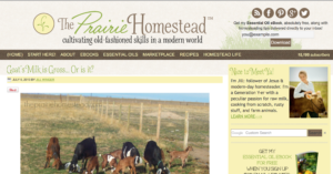 how to start a homestead blog