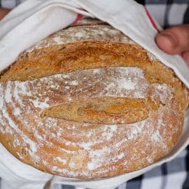 beginner sourdough bread recipe