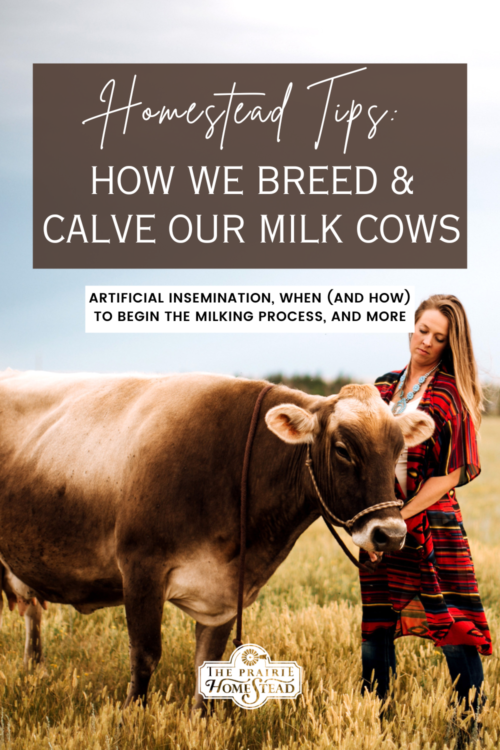 How We Breed & Calve Our Milk Cows