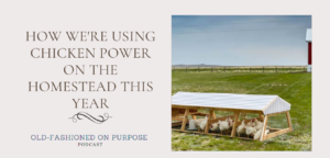 116.  How We’re Using Chicken Power on the Homestead This Year