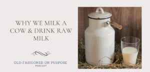 122. Why We Milk a Cow & Drink Raw Milk