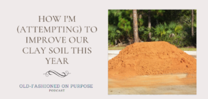 131. How I’m (Attempting) to Improve Our Clay Soil This Year