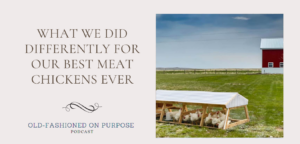 130.  What We Did Differently for Our Best Meat Chickens Ever
